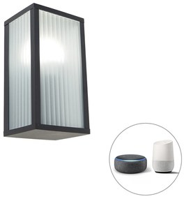 Lampada da parete per esterni intelligente nera con vetro rigato incluso WiFi A60 - Charlois