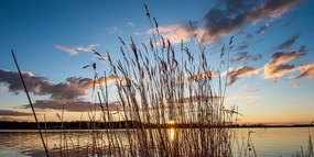 Stampa su tela – Fiume tranquillo vicino al villaggio