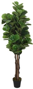 Albero Ficus Lyrata 96 Foglie 80 cm Verde