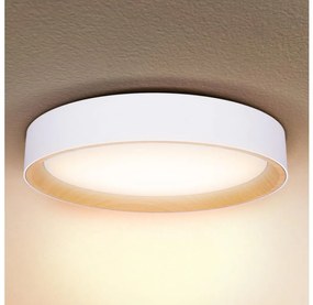 Brilagi -Luce LED dimmerabile LARIOS LED/60W/230V 3000-6500K ø 49 cm white+RC