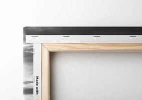 Quadro su tela – Tramonto abbagliante sul lago di montagna in bianco e nero