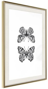 Poster  Butterfly Collection I  Cornice Quadri Cornice d'oro con passe-partout, Larghezza x Altezza Home decor 20x30