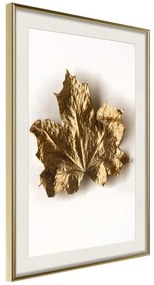 Poster  Dried Maple Leaf  Cornice Quadri Cornice d'oro con passe-partout, Larghezza x Altezza Home decor 30x45