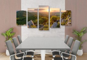 Quadri 5 pezzi – Natura baciata dal sole