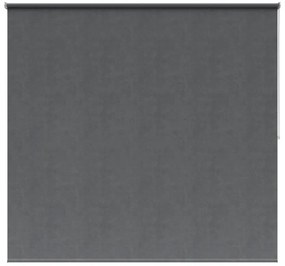 Tenda a rullo oscurante INSPIRE Nelson grigo 135x250 cm