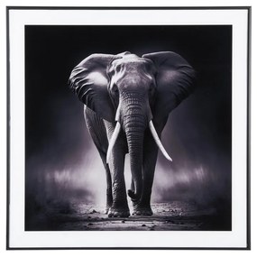 Dipinto 50x50 cm Elephant - PT LIVING