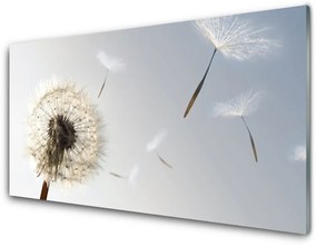 Pannello retrocucina Fiori di tarassaco Natura 100x50 cm