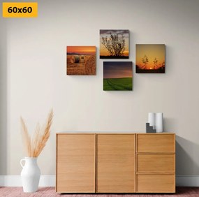 Set di quadri – Tramonto romantico sul prato