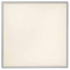 Rabalux 3430 - Plafoniera LED dimmerabile PAVEL LED/22W/230V