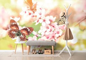 Carta da parati autoadesiva – Fiori primaverili con farfalle esotiche