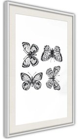 Poster  Butterfly Collection III  Cornice Quadri Cornice nera, Larghezza x Altezza Home decor 40x60