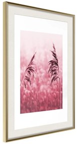 Poster  Amaranth Meadow  Cornice Quadri Cornice d'oro con passe-partout, Larghezza x Altezza Home decor 40x60