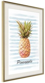 Poster  Pineapple on Striped Background  Cornice Quadri Cornice d'oro con passe-partout, Larghezza x Altezza Home decor 20x30