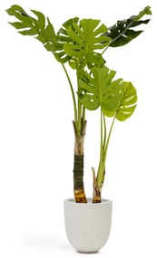 Kave Home - Pianta artificiale Monstera da 130 cm