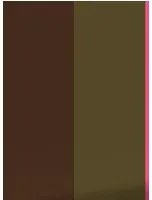 KEK Amsterdam Carta da parati Bold Stripes 1 Uyterlinde - FU-009