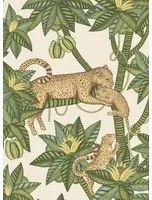 Cole & Son Carta da parati Satara - 119/3015