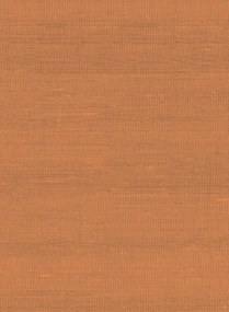Arte Carta da parati Latus - 50514