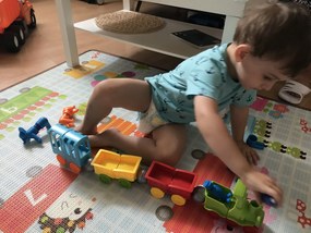 Smartmax - Il mio primo treno con animali - 22 pz