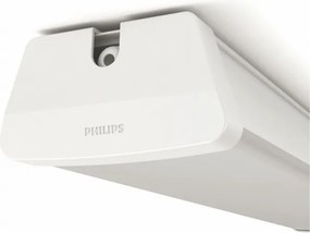 Philips 31247/31/P3 - Lampada tecnica LED AQUALINE LED/50W/230V IP65 4000K