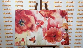 Stampa su tela – Papaveri rossi sul campo