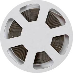 Striscia LED Digitale COB RGBW 24V 14W/m RUNNING Professionale IP20 - 5 metri