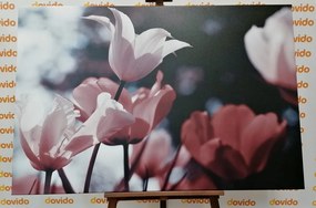 Stampa su tela – Tulipani primaverili nel parco