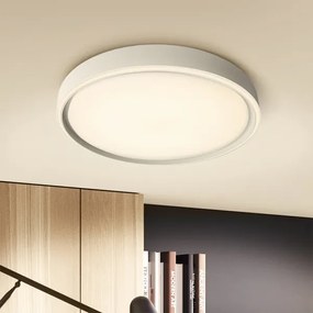 Brilagi-LED Lampada dimmerabile NANCI LED/60W/230V 3000-6500K Ø 49 cm argento +telecomando