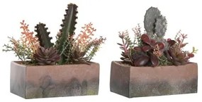 Pianta Decorativa DKD Home Decor 19 x 9 x 22 cm Rosa Arancio Cactus Gomma Eva polipropilene (2 Unità)