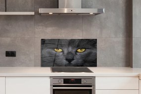 Pannello paraschizzi cucina Gatto nero 100x50 cm