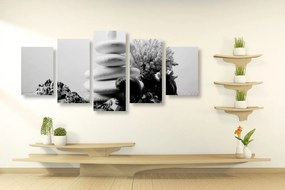 Quadri 5 pezzi – Pietre Zen con conchiglie in bianco e nero