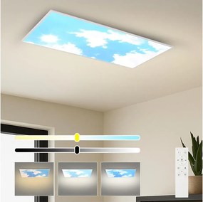 Brilagi - plafoniera LED dimmerabile SLIMFRAME SKY LED/80W/230V 120x60 cm argento/blu + telecomando