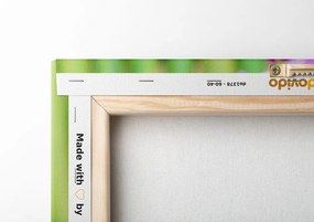 Quadro su tela – Giardino Zen giapponese