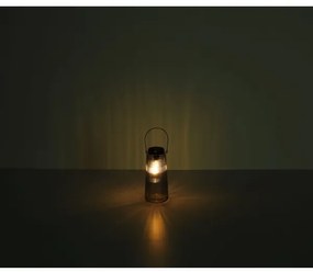 Globo 36646 - Lampada LED solare SOLAR 2xLED/0,5W/3V 3000K IP44