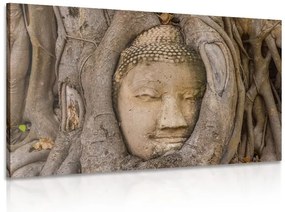 Stampa su tela – Ficus sacro di Buddha