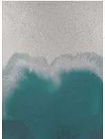 Coordonne Wandbild Coral Reefs Metallics - Silver