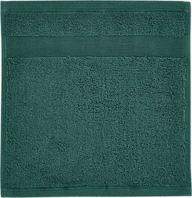 Set di asciugamani tipo terry verde scuro in cotone 2 pz 30x30 cm Anti-Bacterial – Catherine Lansfield