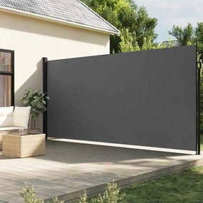 Tenda Da Sole Laterale Retrattile Antracite 220x300 Cm /