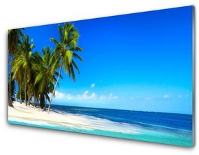 Quadro vetro Palm Tree Sea Landscape 100x50 cm