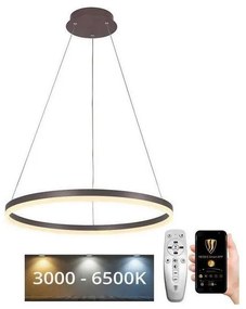 Brilagi - Lampadario a sospensione con filo LED dimmerabile CIRCLE LED/42W/230V 3000-6500K marrone + +TC