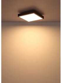 Globo 416080AD1 - Plafoniera LED DORO LED/12W/230V 3000K 30x30 cm