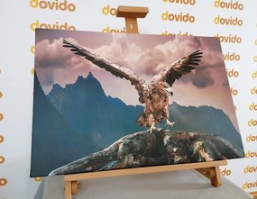 Stampa su tela – Aquila con ali spiegate sopra le montagne