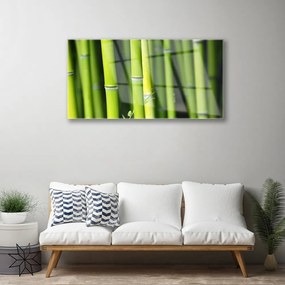 Quadro in vetro Bambù Pianta Naturale 100x50 cm