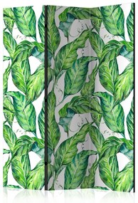 Paravento separè Foglie lunghe (3-parti) - modello di piante tropicali su sfondo bianco