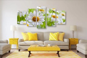 Quadri 5 pezzi – Prato primaverile pieno di fiori