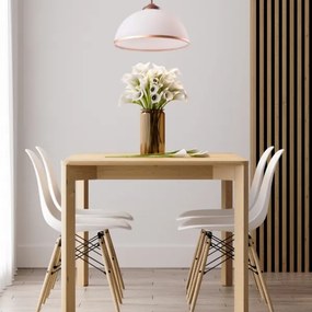 Brilagi - Lampadario a sospensione con supporto rigido LED ANTICO 1xE27/60W/230V patina di bronzo