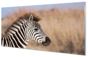Quadro in vetro Zebra 100x50 cm