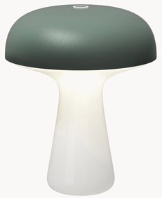 Lampada outdoor piccola portatile a LED con luce regolabile My