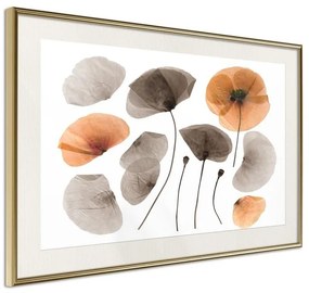 Poster  Dried Poppies  Cornice Quadri Cornice d'oro con passe-partout, Larghezza x Altezza Home decor 60x40