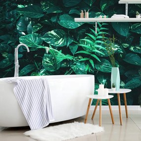 Carta da parati – Foglie tropicali fresche