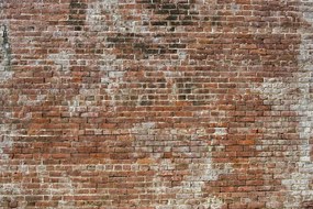 Carta da parati – Vecchio Muro di Mattoni
